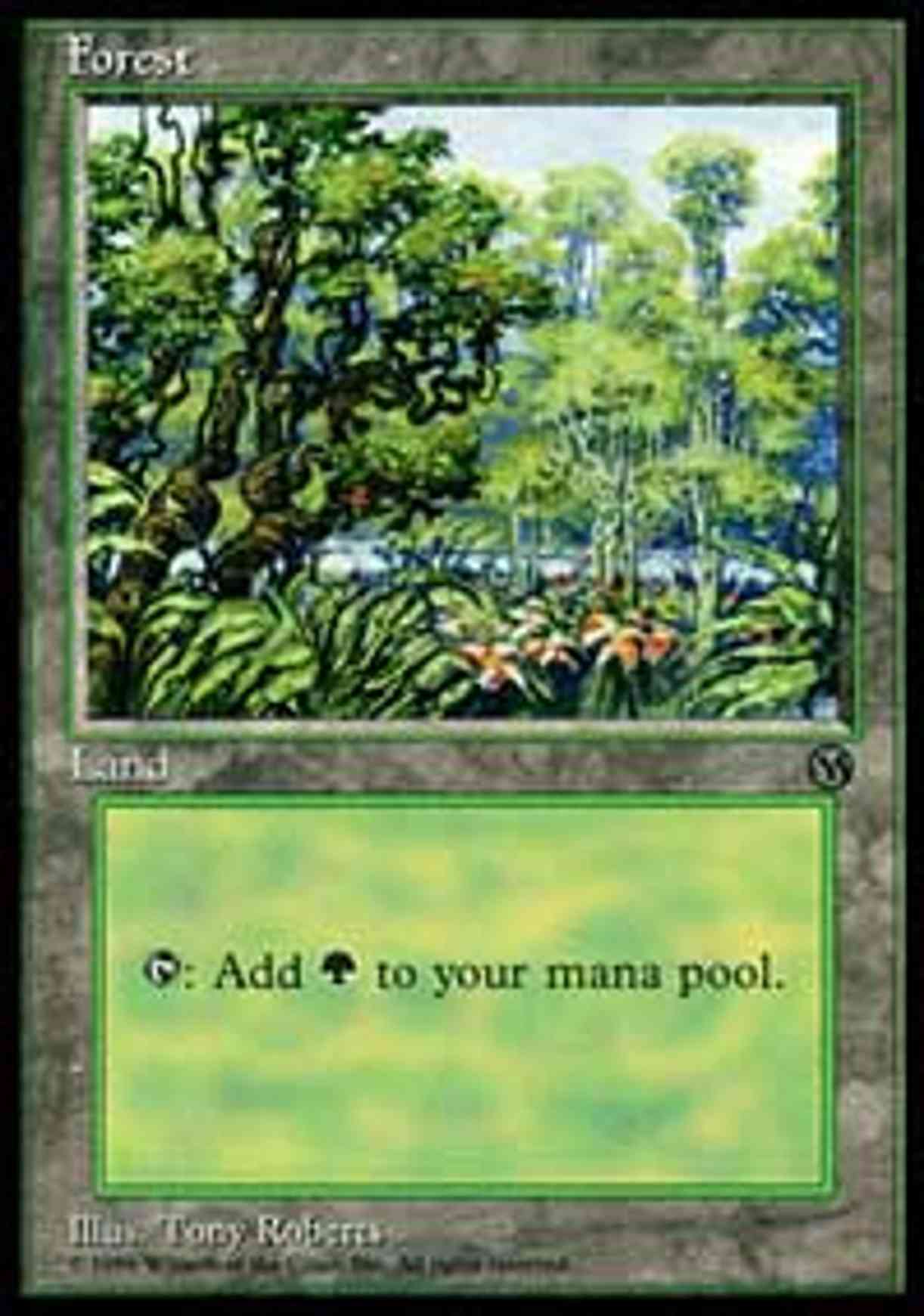 Forest (1996) magic card front