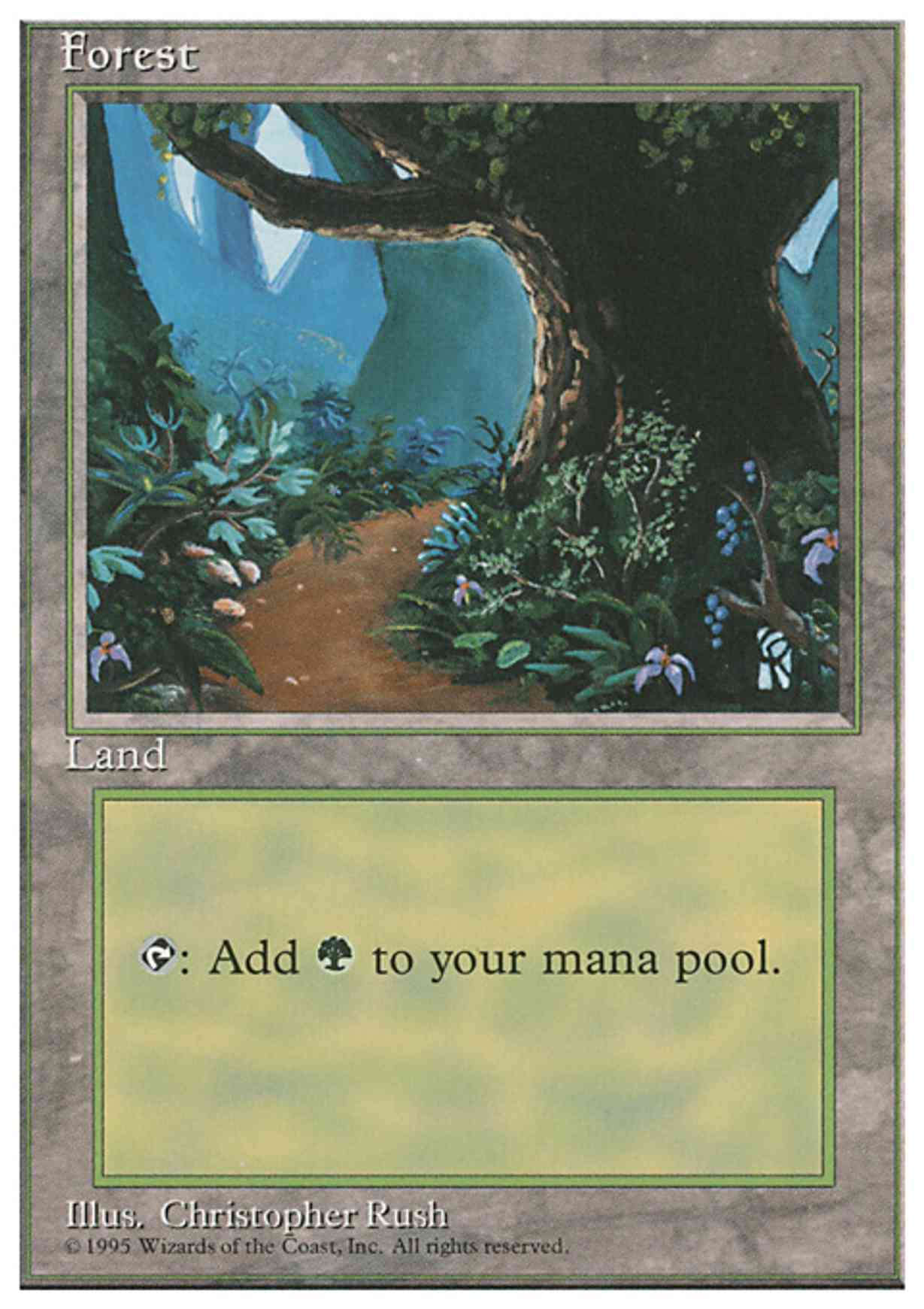 Forest (B) magic card front
