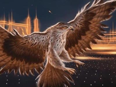 bird-scout