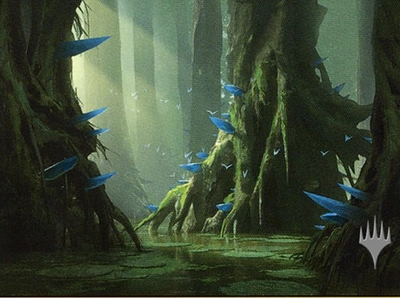 swamp-forest-island