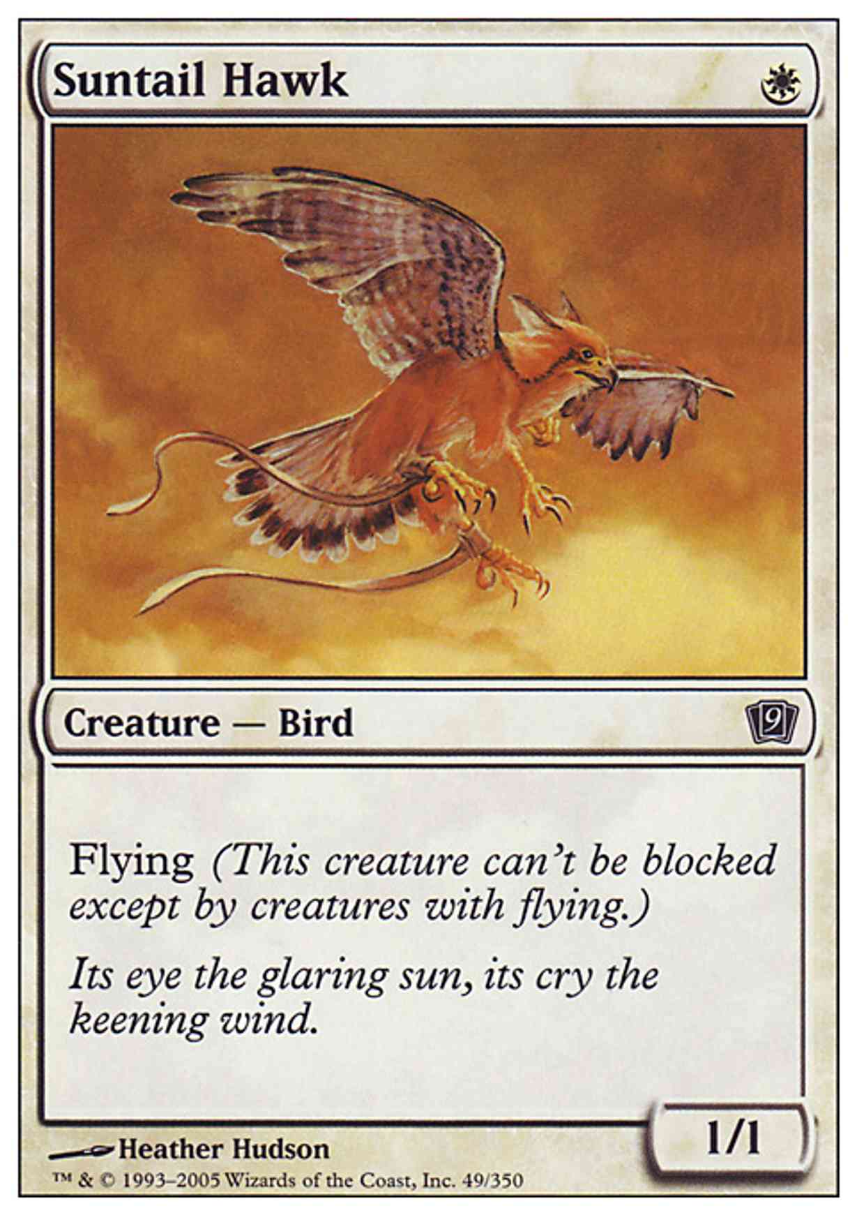 Suntail Hawk magic card front