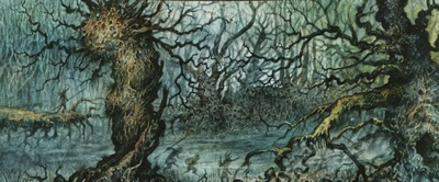 shadowmoor