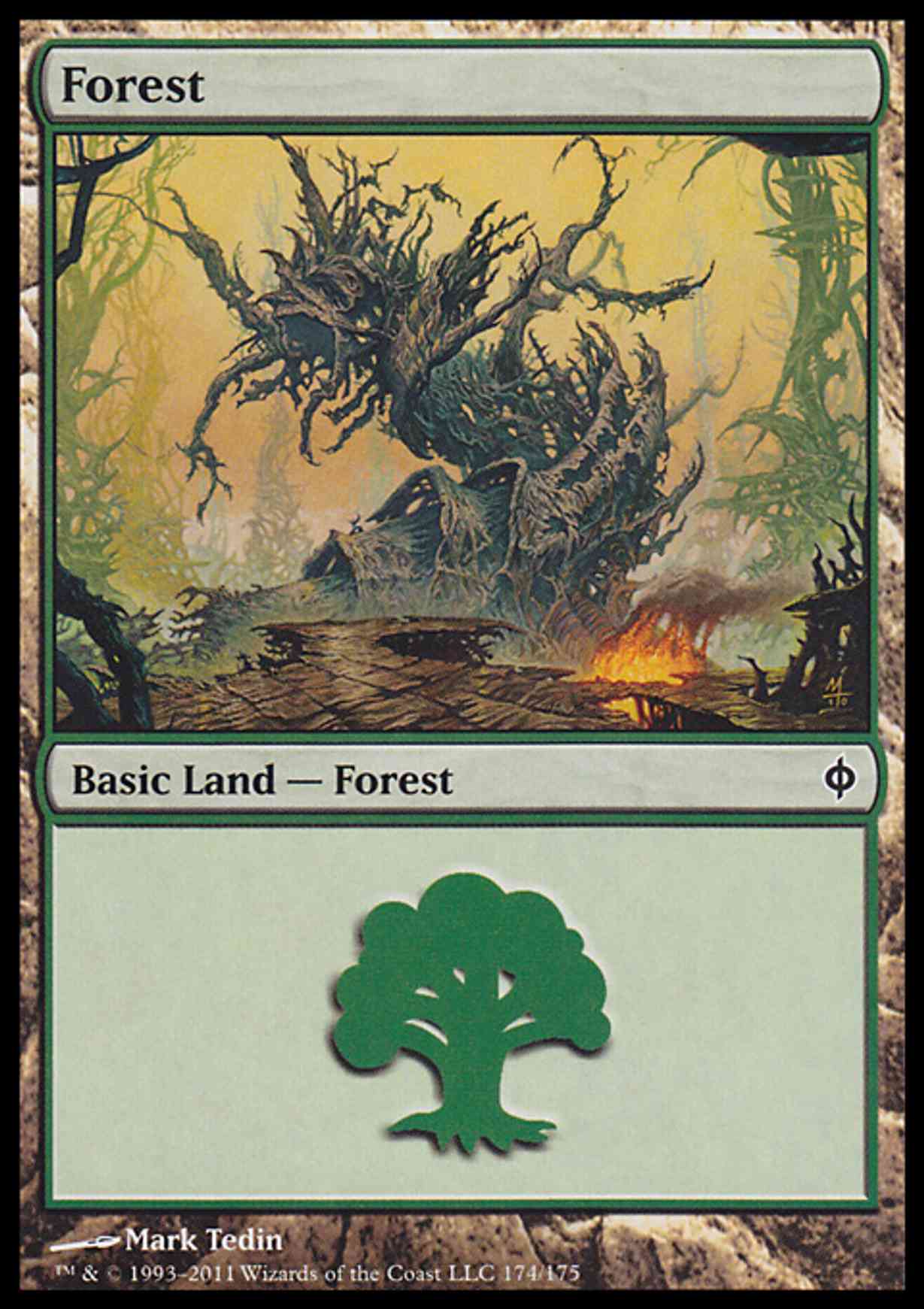 Forest (174)  magic card front