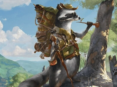 raccoon-scout