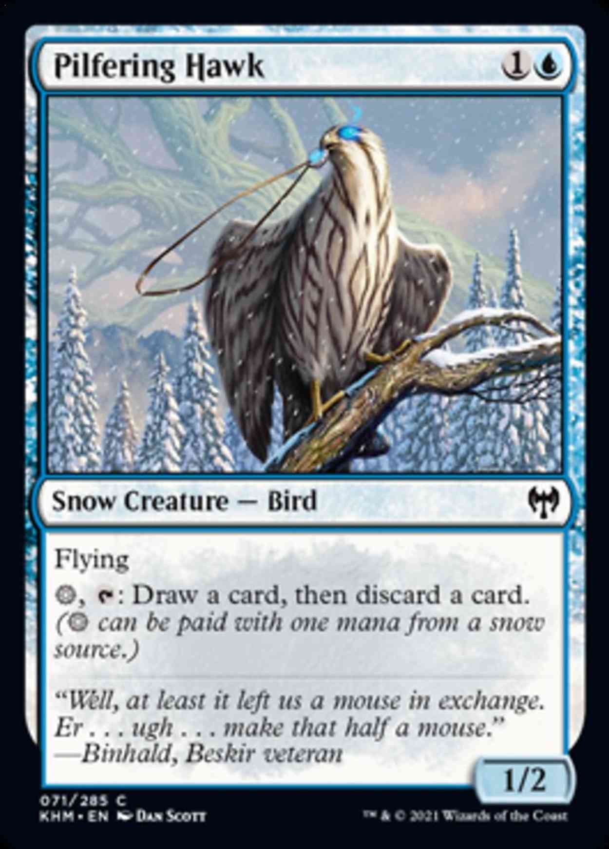 Pilfering Hawk magic card front