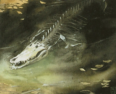crocodile-skeleton
