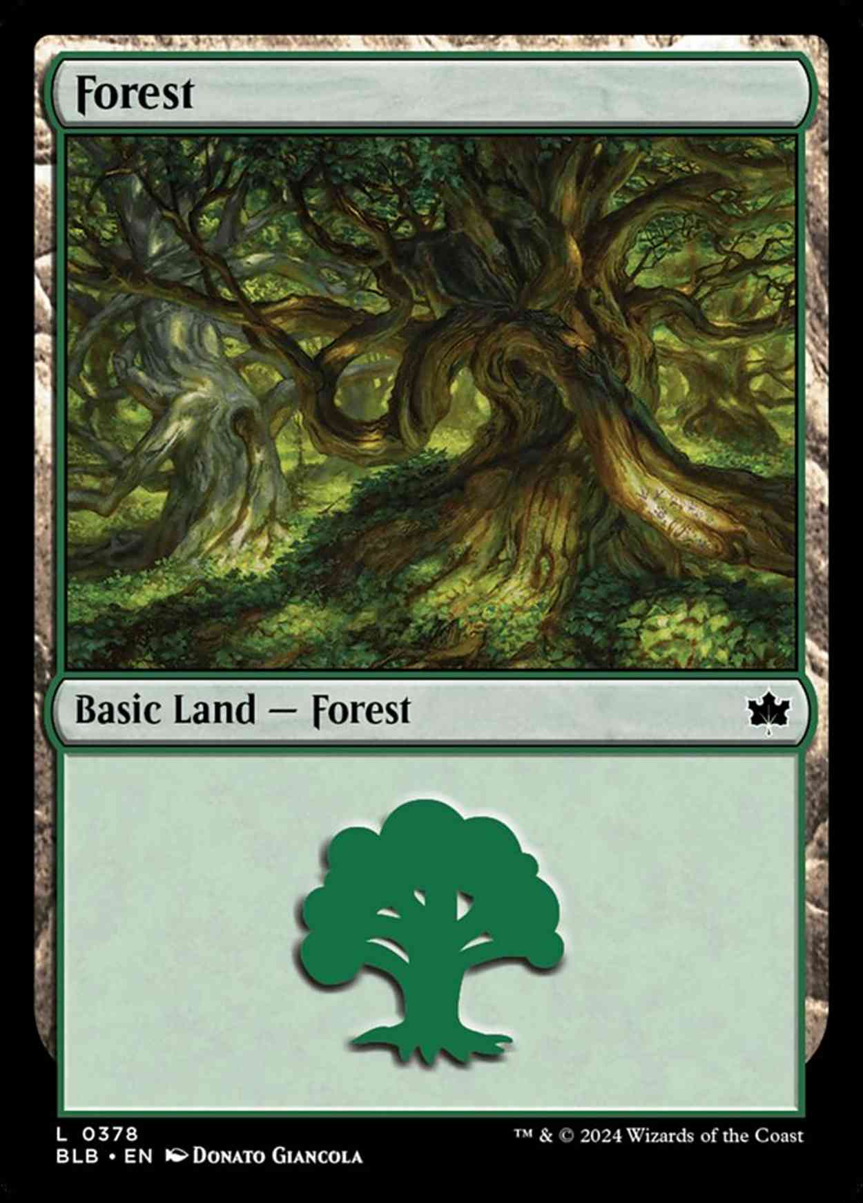 Forest (0378) magic card front