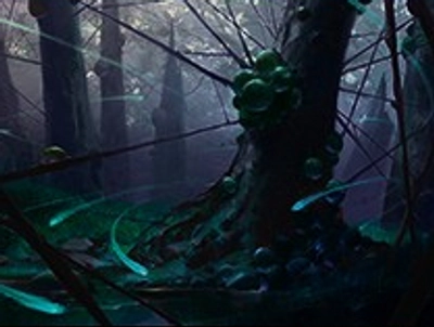WMCQ Promo Cards Card Prices