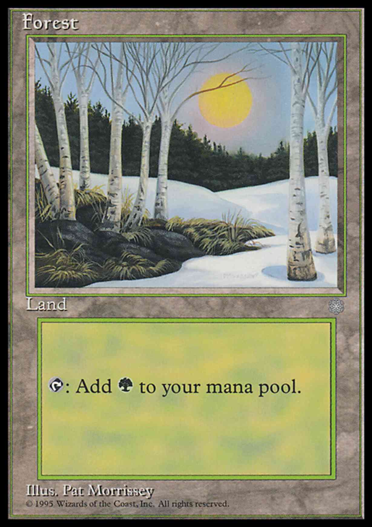 Forest (328) magic card front