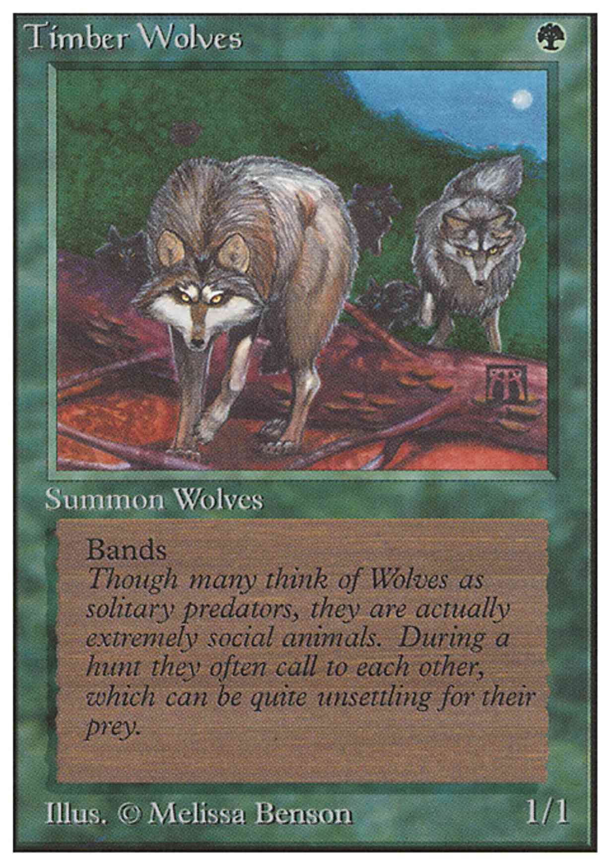 Timber Wolves magic card front
