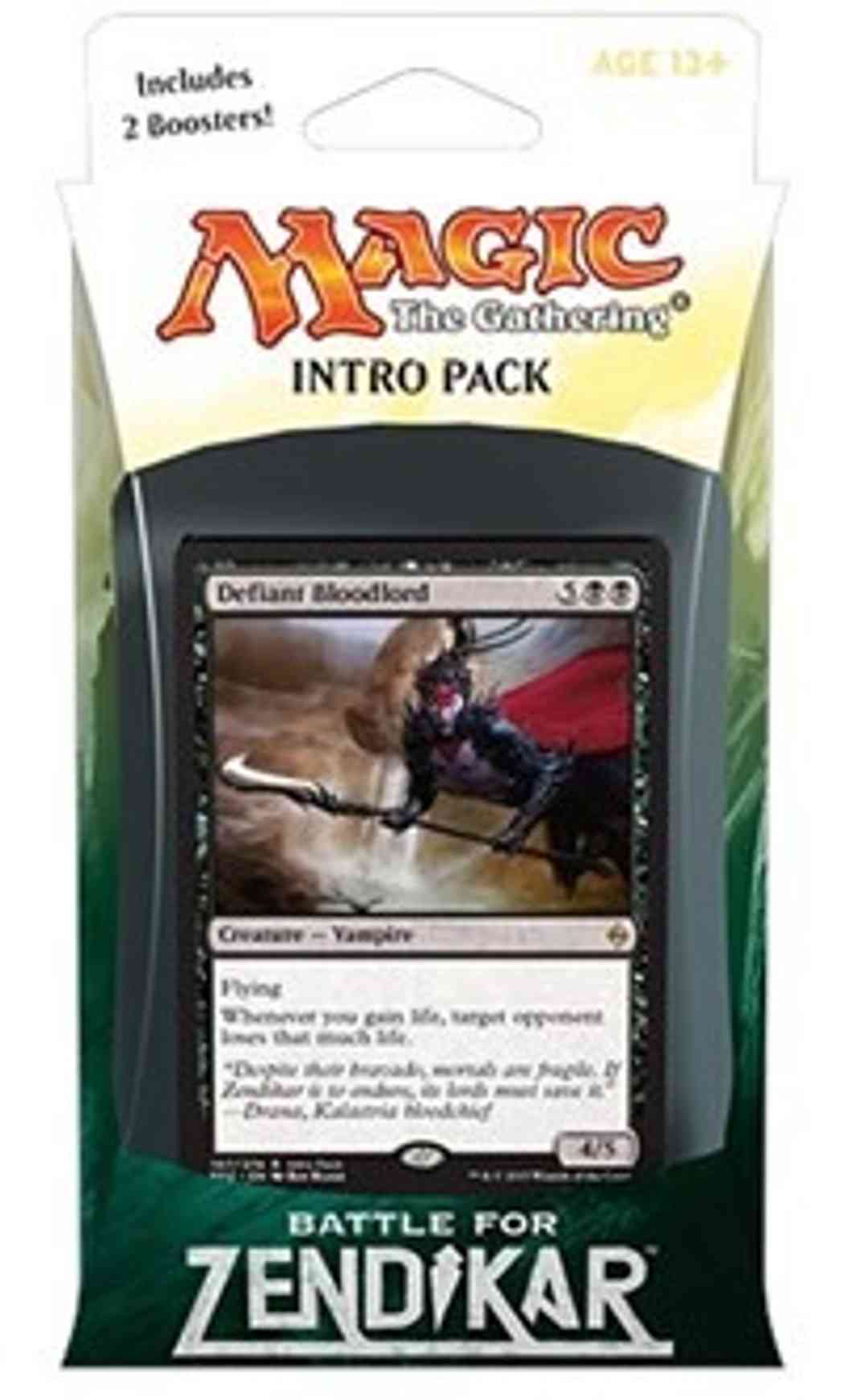 Battle for Zendikar Intro Pack - Black magic card front