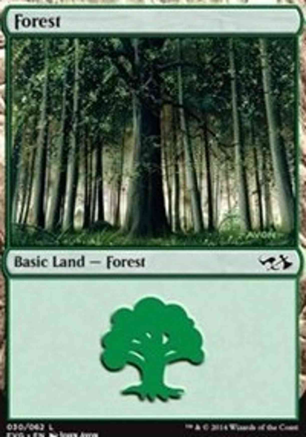 Forest (30) (Elves vs Goblins) magic card front