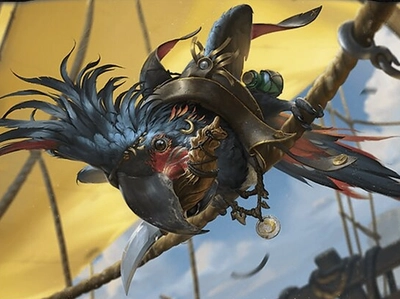 bird-pirate