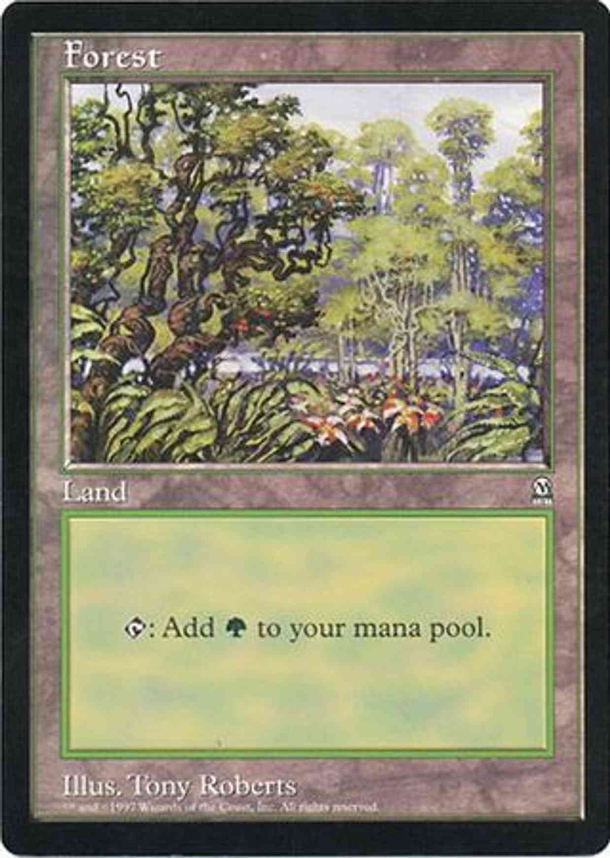Forest (Oversized) magic card front