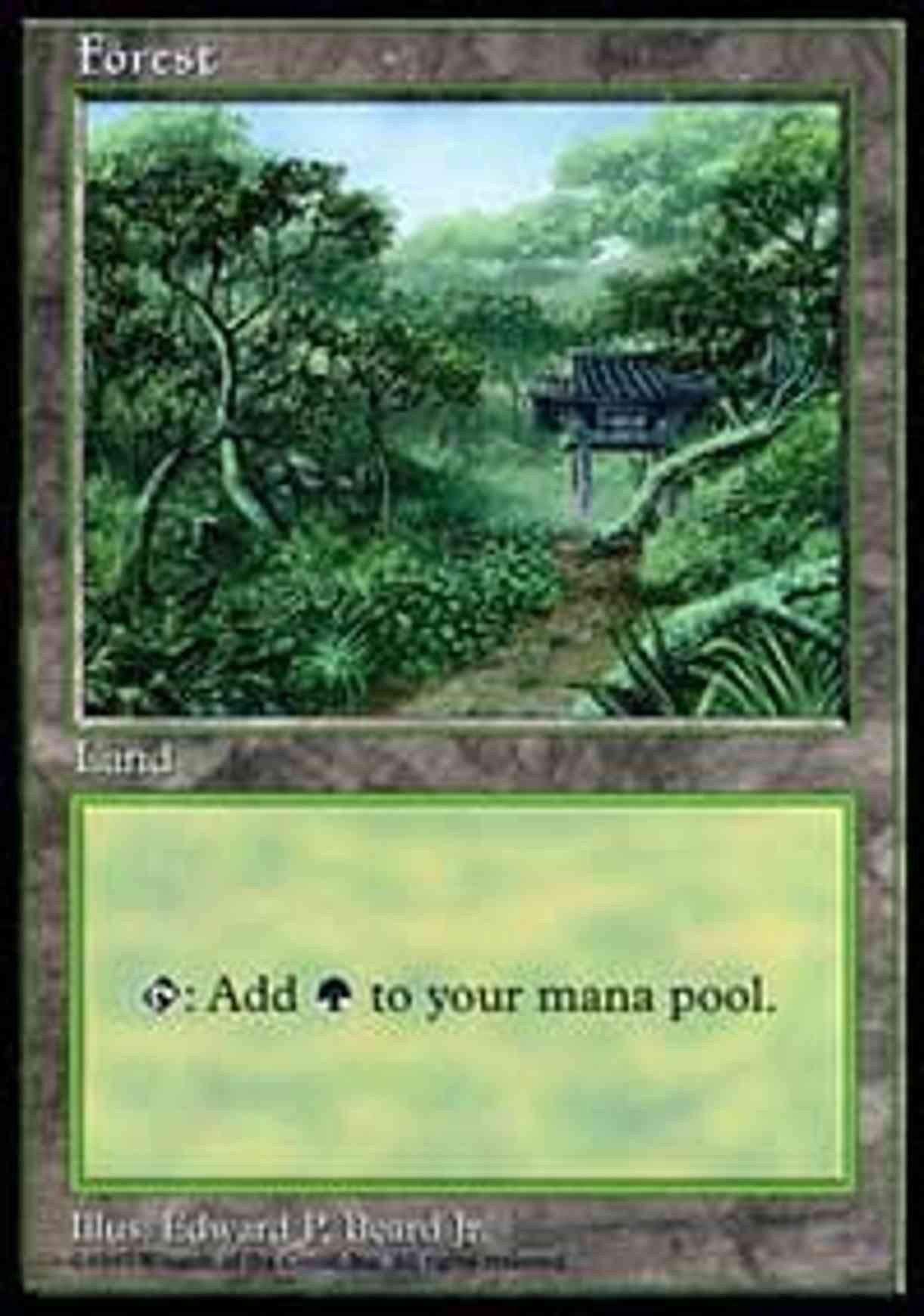 Forest - Clear Pack (Beard, Jr.) magic card front