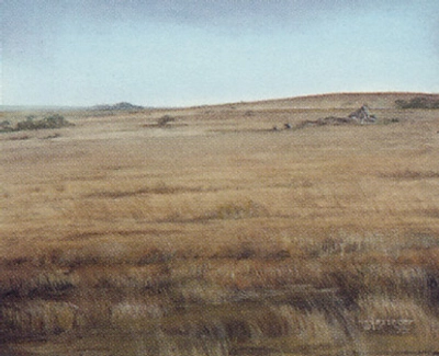 forest-plains