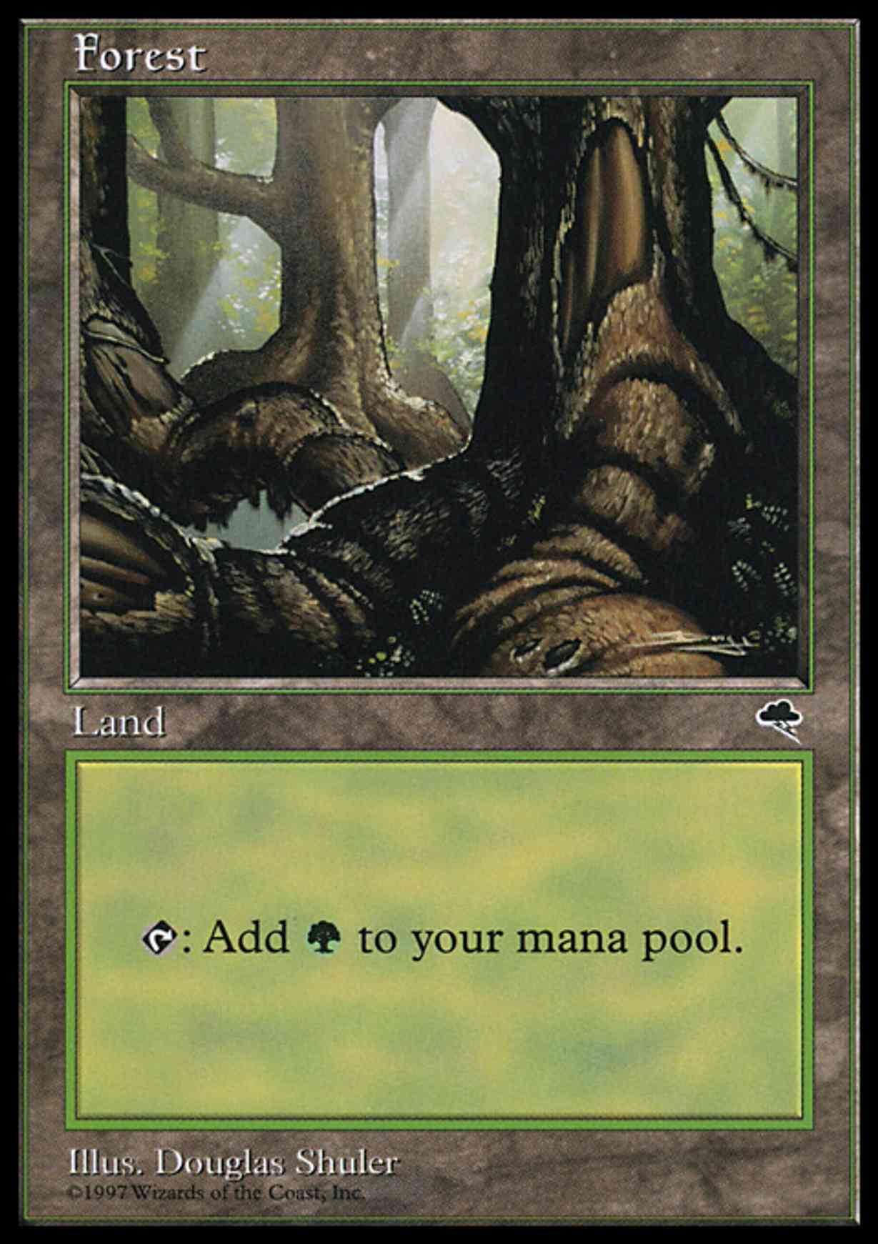Forest (Pond) magic card front