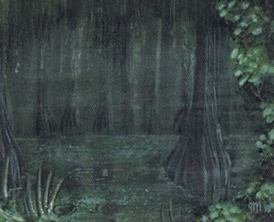 swamp-forest