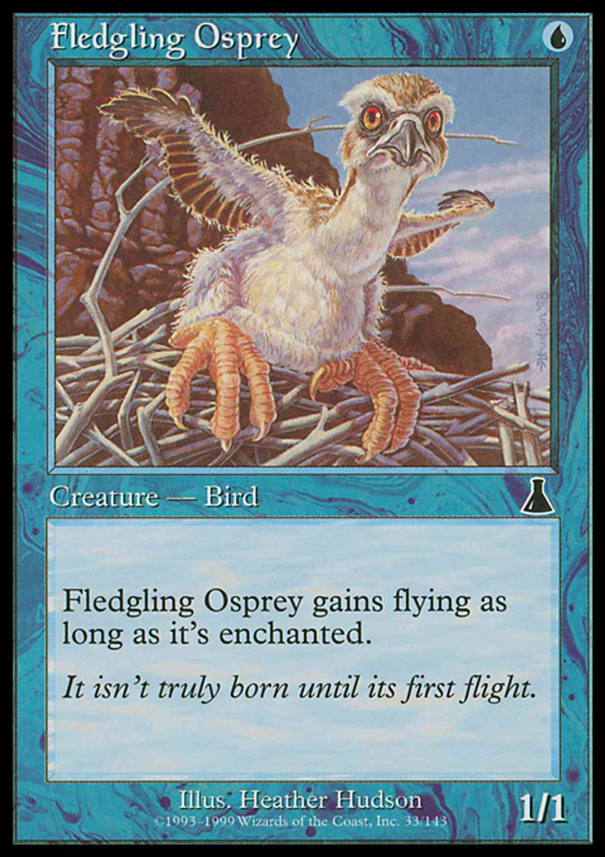 Fledgling Osprey magic card front