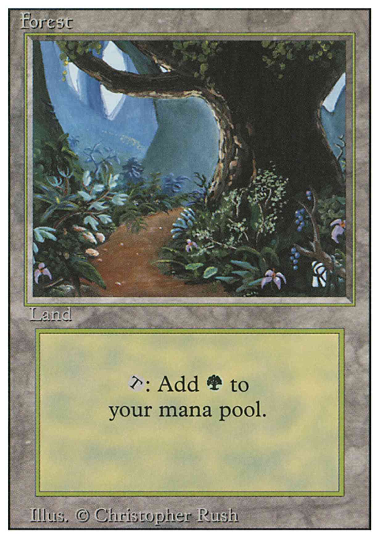 Forest (B) magic card front