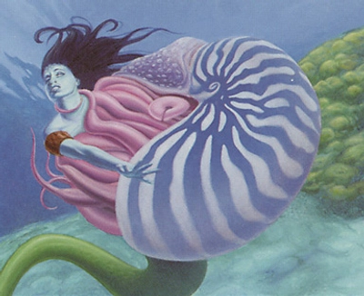 nautilus