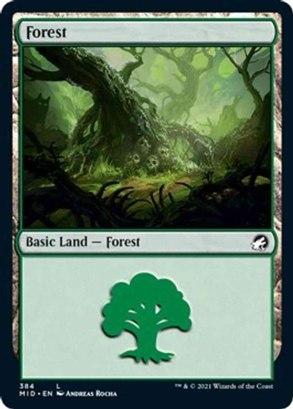 Forest (384) magic card front