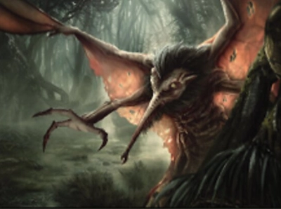 insect-bat