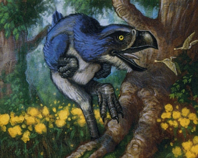 bird-beast