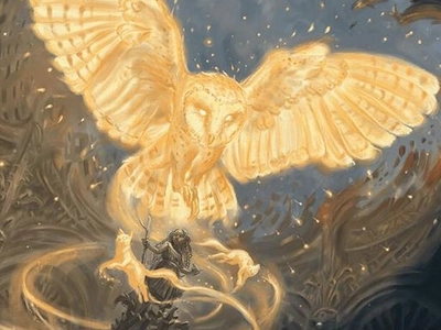 bird-glimmer
