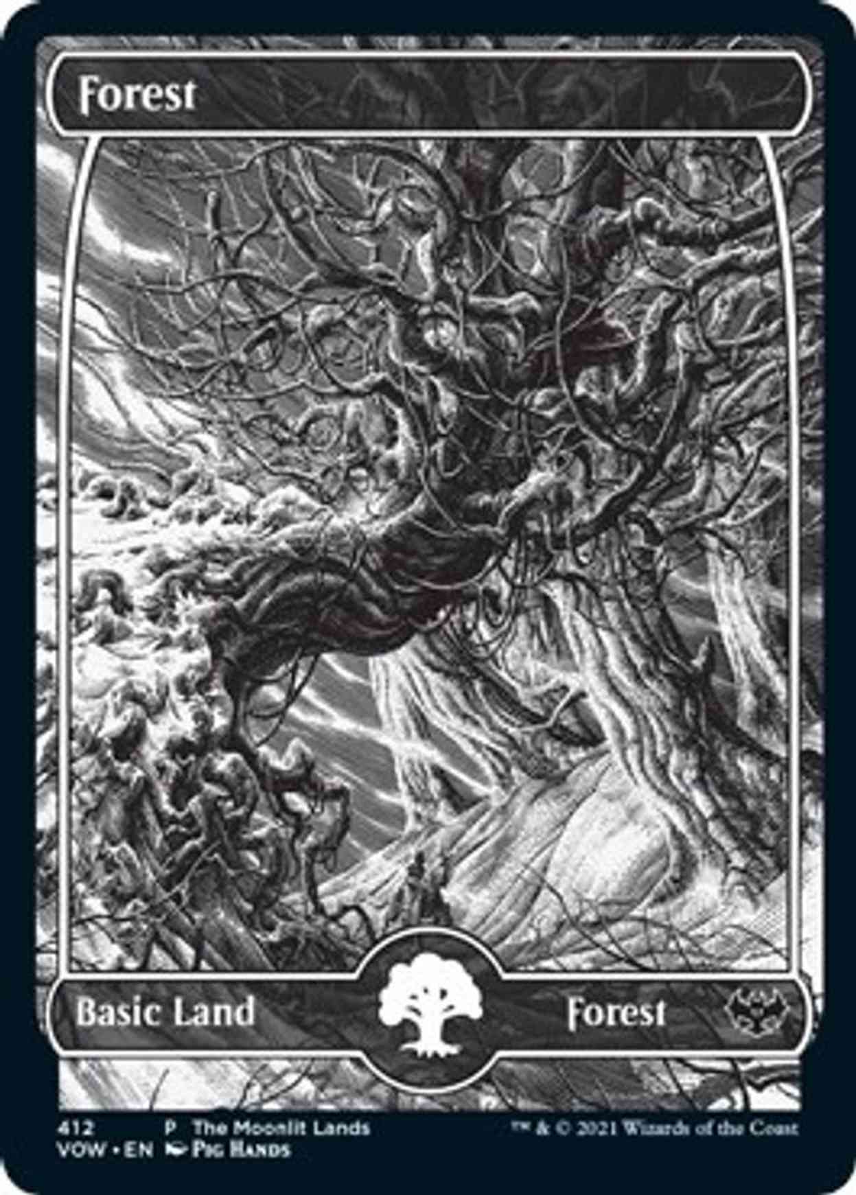 Forest (Moonlit Land) (Foil Etched) magic card front