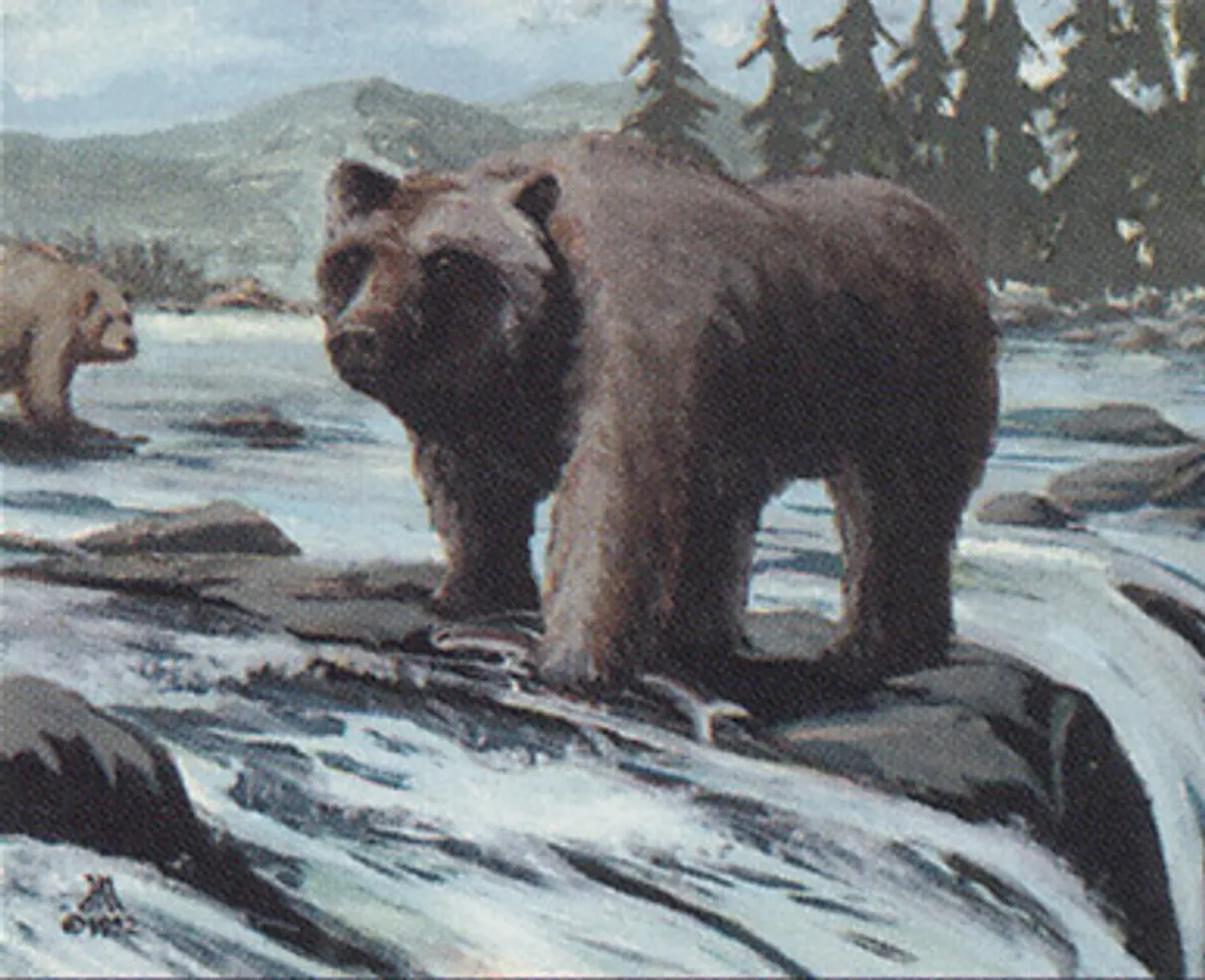 Bears アルファ　灰色熊　Grizzly MTG