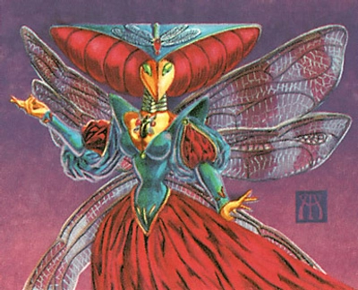 insect-wizard