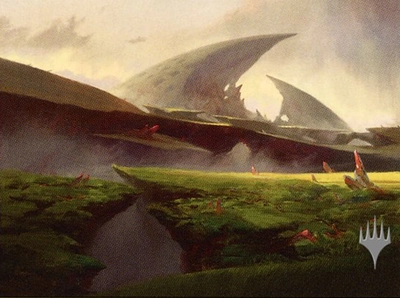 mountain-plains-swamp