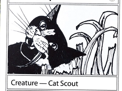 cat-scout