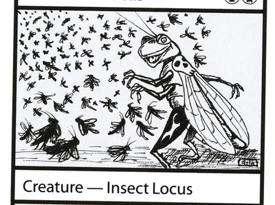 insect-locus