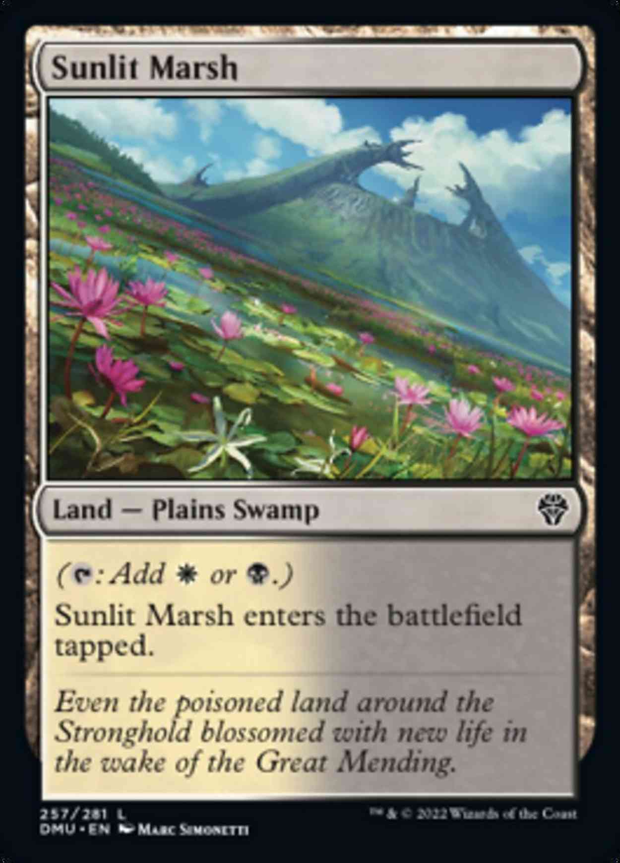 Sunlit Marsh magic card front