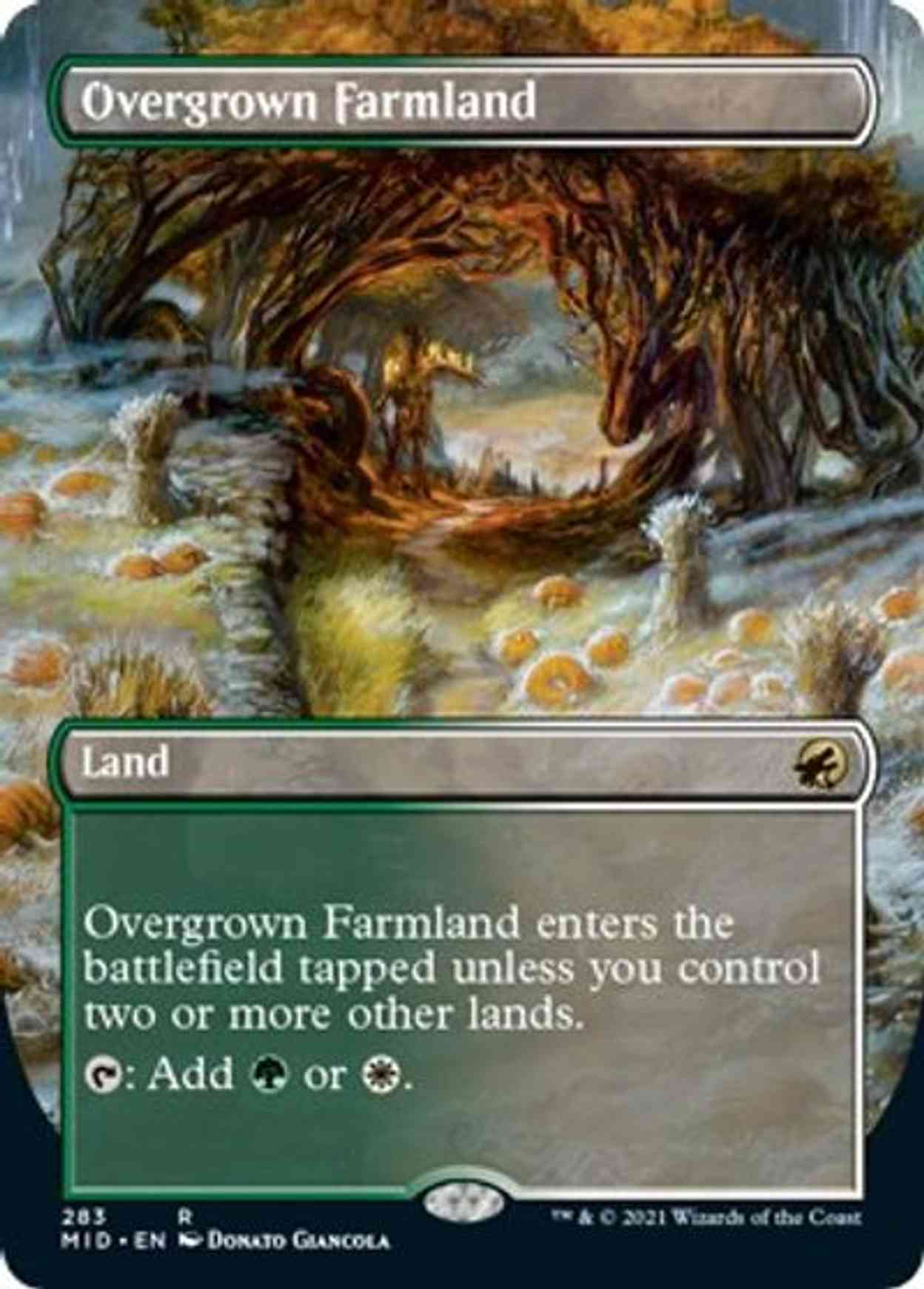 Overgrown Farmland (Borderless) magic card front