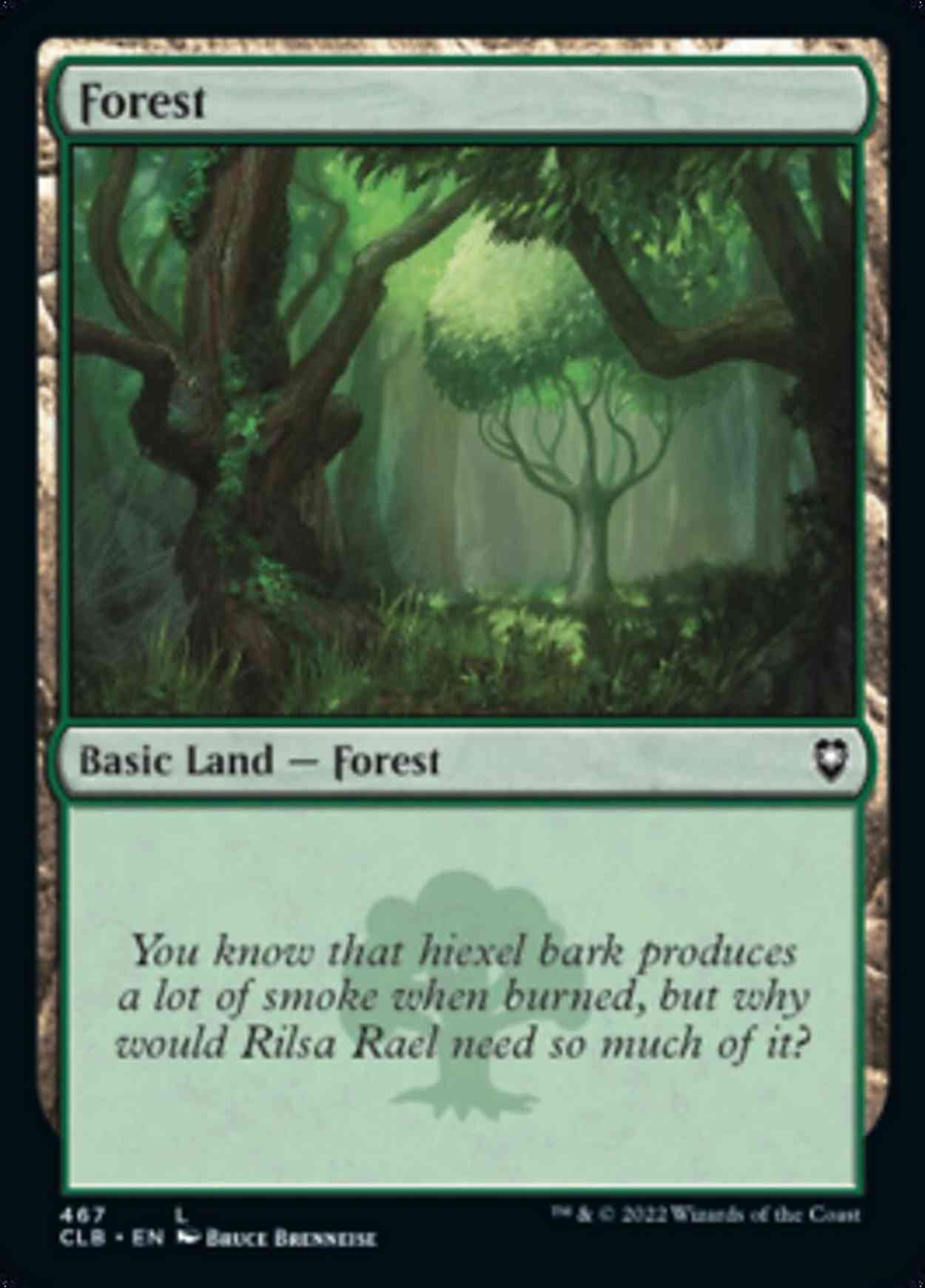 Forest (467) magic card front