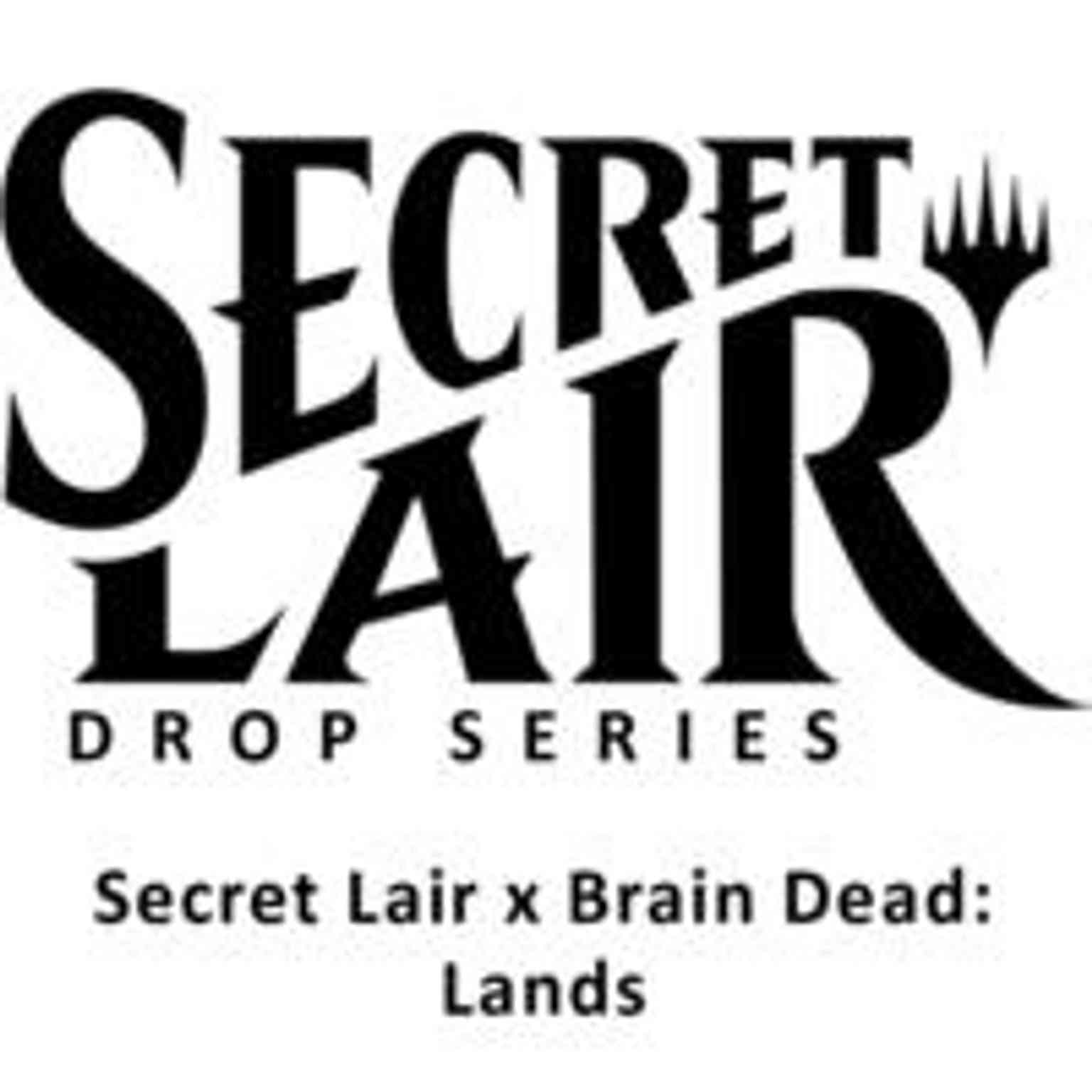 Secret Lair Drop: Secret Lair x Brain Dead: Lands - Non-Foil Edition magic card front