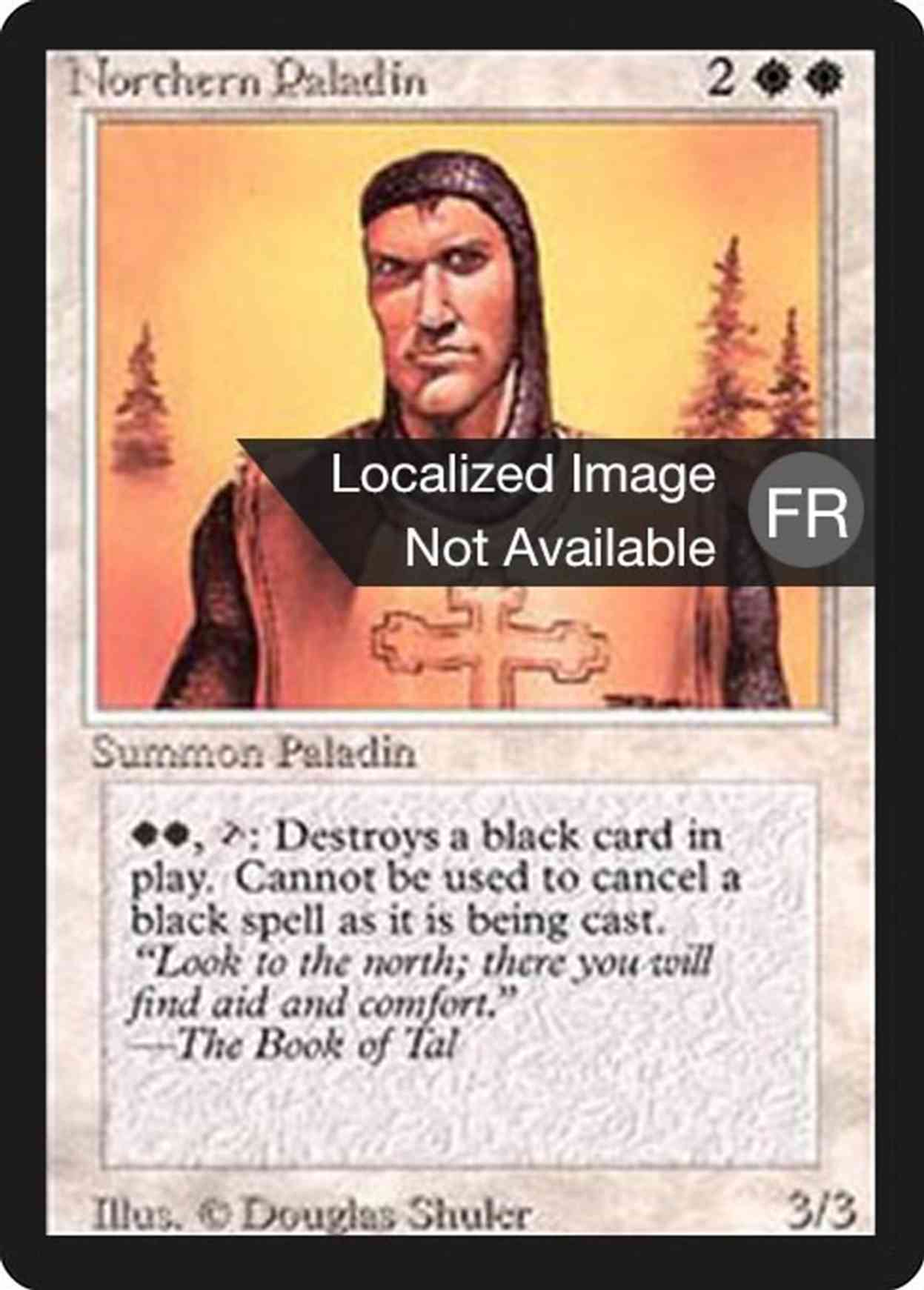Northern Paladin magic card front