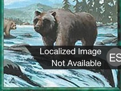 creature-bears