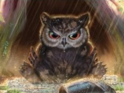 bird-bear