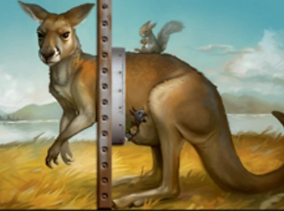 kangaroo