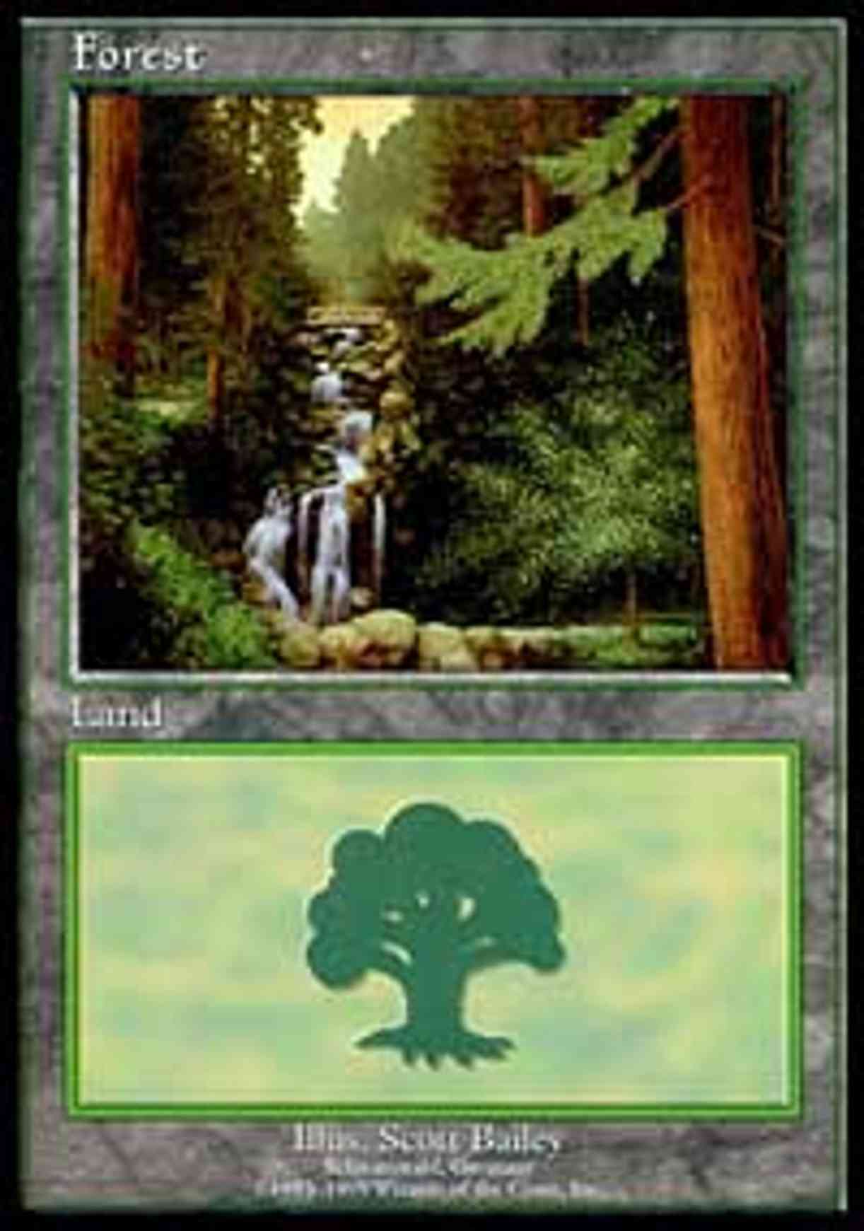 Forest - Schwarzwald magic card front