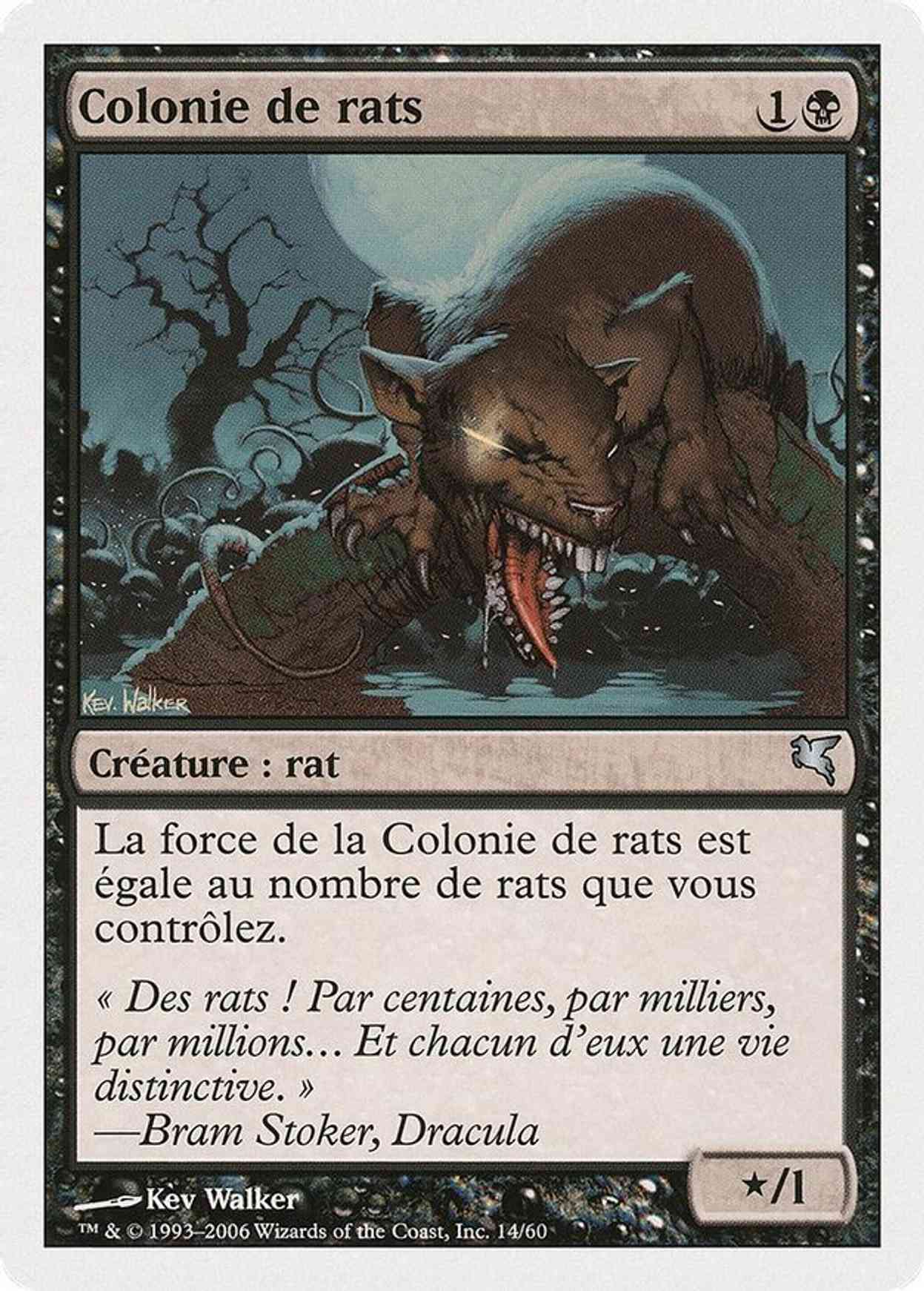 Swarm of Rats (French) - "Colonie de rats" (A14) magic card front