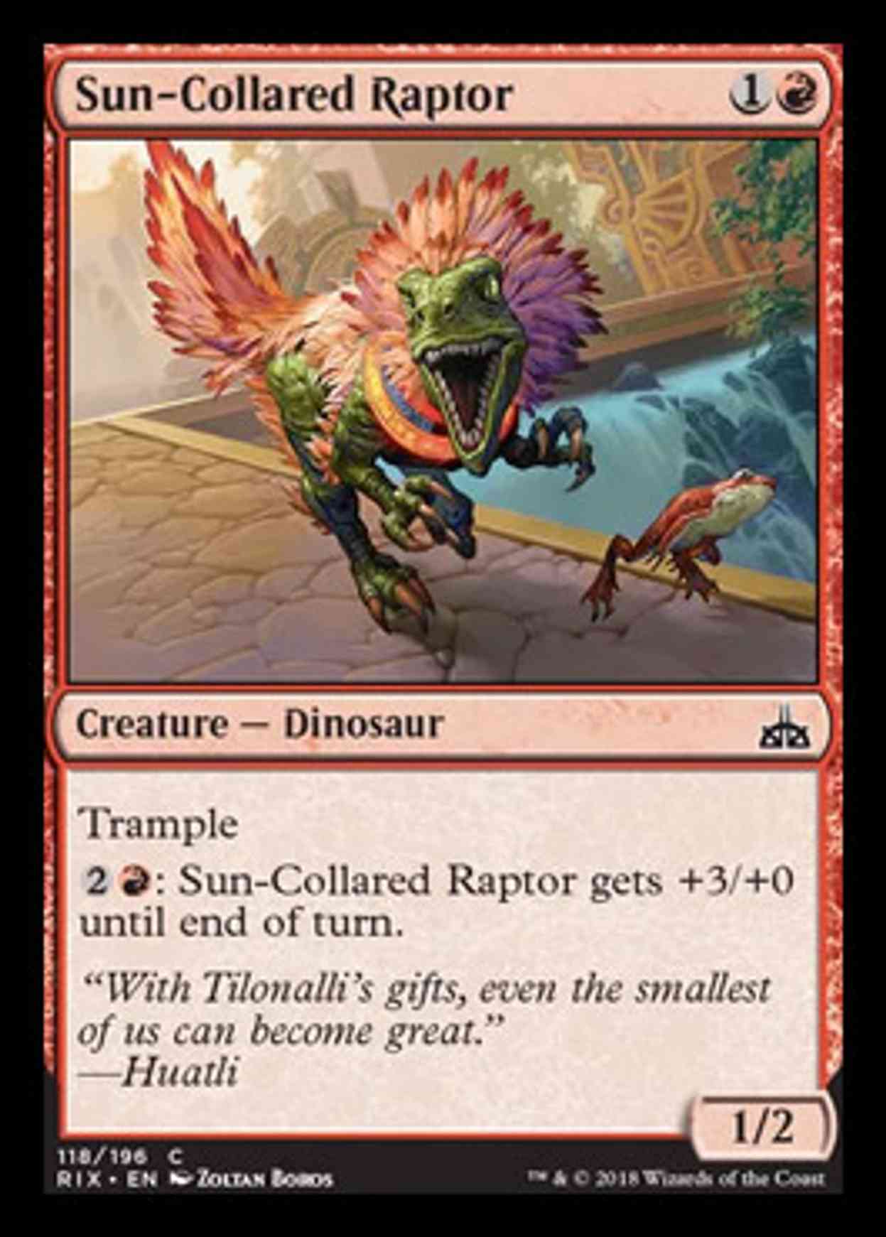 Sun-Collared Raptor magic card front