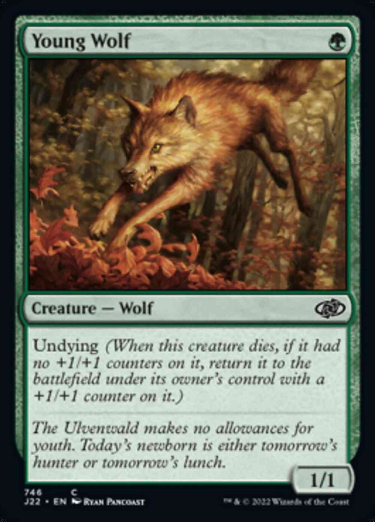 Young Wolf magic card front