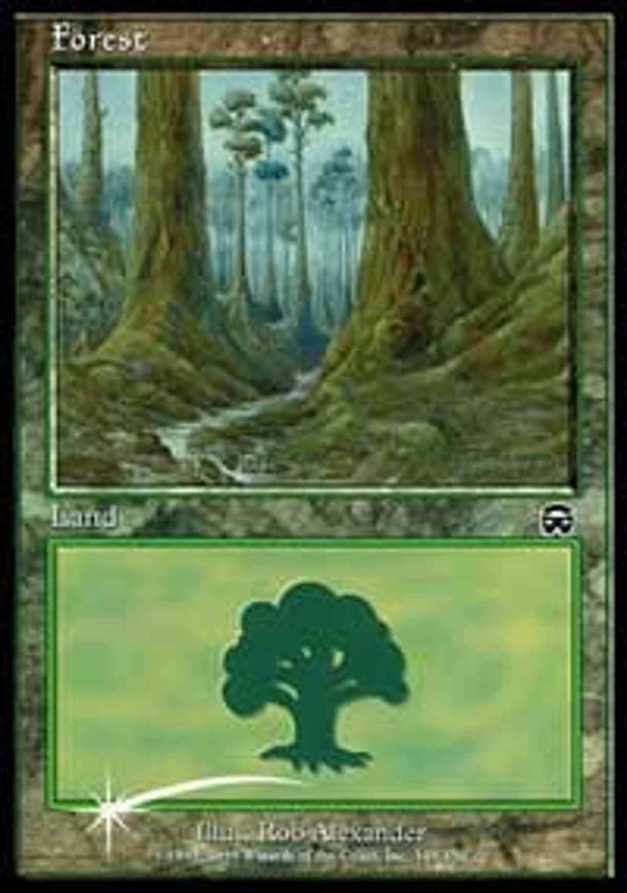 Forest (2000) magic card front