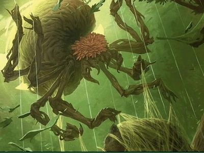 spider-spirit