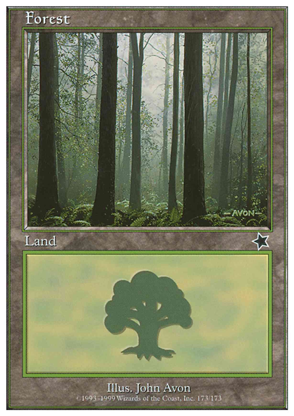 Forest (173)  magic card front